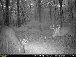 Hunting Land For Sale in East Baton Rouge Parish 178 Acres featured image