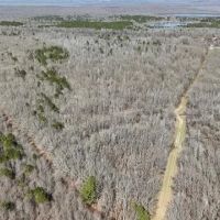 550 Acre Hunting Property w Camp Ouachita River images 3