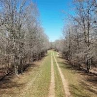 550 Acre Hunting Property w Camp Ouachita River images 5
