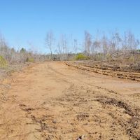 265 Acres in Kemper County MS images 4