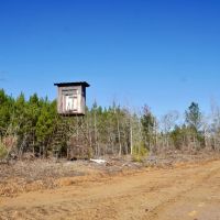 265 Acres in Kemper County MS images 5