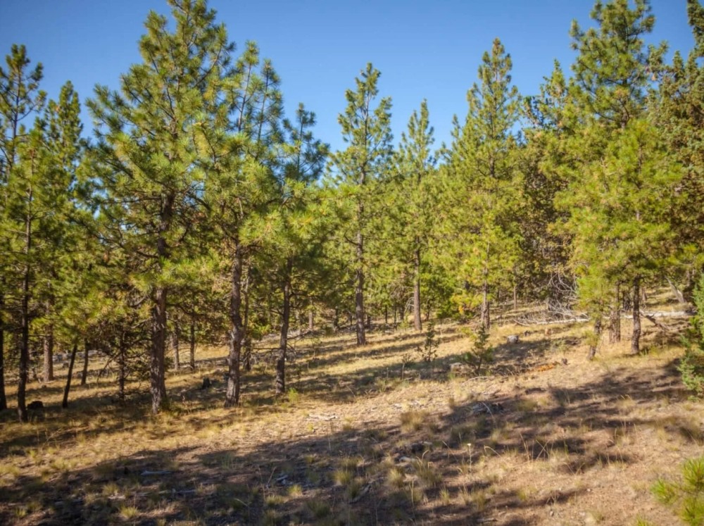 Kuman Creek Hideaway featured image