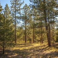Kuman Creek Hideaway images 2