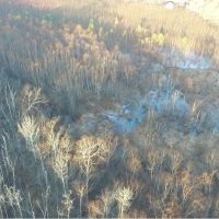 South Forked Deer 60