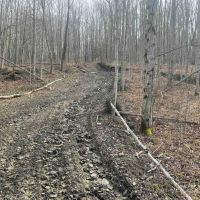 52 acres Hunting Land near State Land in Birdsall NY 3356 Joe McMahon Road images 5