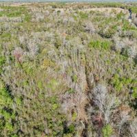 Recreational Hunting Land For Sale in South Amite County MS