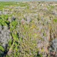 Recreational Hunting Land For Sale in South Amite County MS images 3