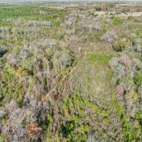 Recreational Hunting Land For Sale in South Amite County MS images 4