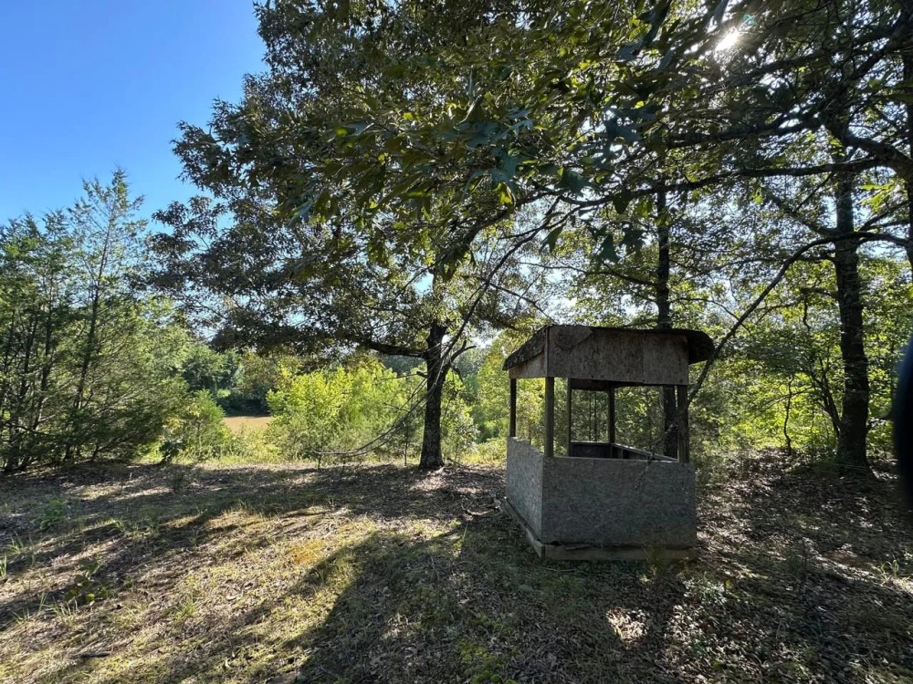 80 - Acres hunting recreation pond Smithville Lawrence County Arkansas featured image