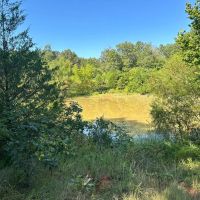 80 - Acres hunting recreation pond Smithville Lawrence County Arkansas images 2