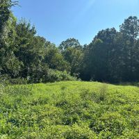 80 - Acres hunting recreation pond Smithville Lawrence County Arkansas images 4