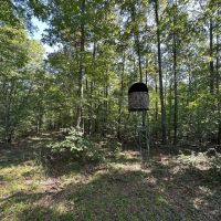 80 - Acres hunting recreation pond Smithville Lawrence County Arkansas images 5