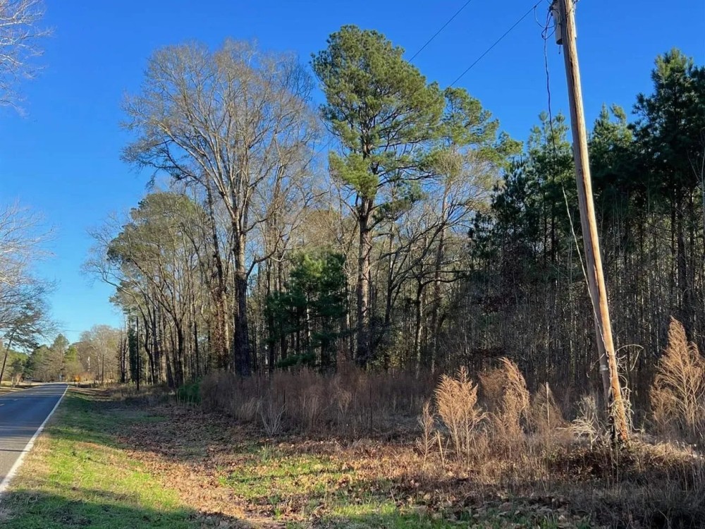 40 Acres Land for Sale Quitman LA featured image