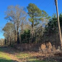 40 Acres Land for Sale Quitman LA