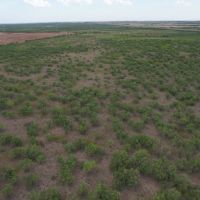 75 - Acres Jones County images 3