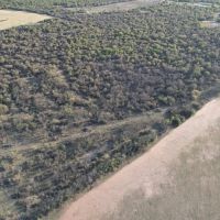 47 - Acres Jones County Tract 11 images 5