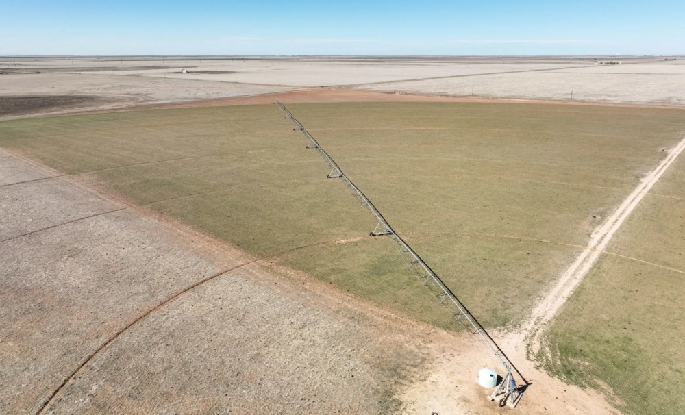 Swisher County Farm featured image