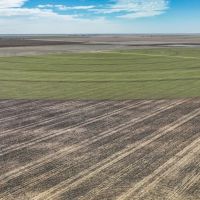 Swisher County Farm images 2