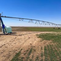 Swisher County Farm images 3