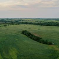 Lutz Ranch - 1 148.14 - Acres Pasture Dryland in Phillips County KS images 2