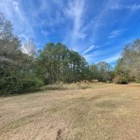 Home with Acreage For Sale in Sandy Hook MS images 4