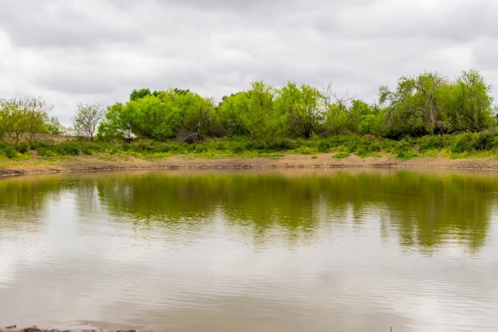 Kingsbery Ranch featured image