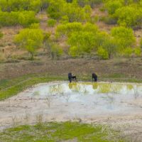 Kingsbery Ranch images 4