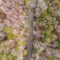 92 - Ac Camp Hill Chambers Co images 4