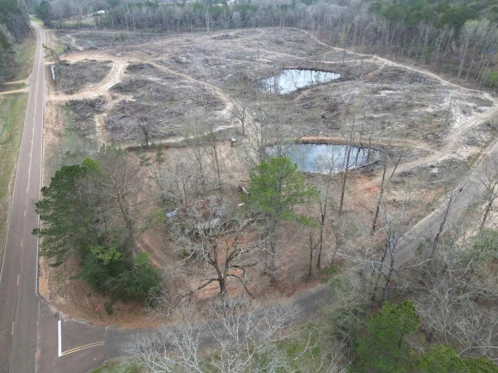 Great 20 Acre Tract in Southwest Mississippi featured image