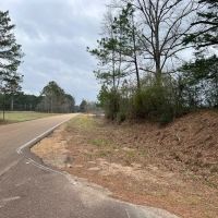 Great 20 Acre Tract in Southwest Mississippi images 2