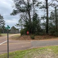 Great 20 Acre Tract in Southwest Mississippi images 3