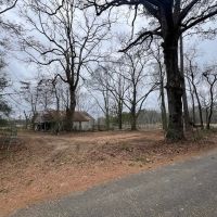 Great 20 Acre Tract in Southwest Mississippi images 4