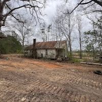 Great 20 Acre Tract in Southwest Mississippi images 5