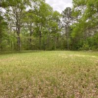 The Forest in Montgomery in Magnolia ISD images 4