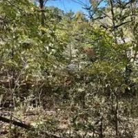 0 Timberwolf Drive Goreville IL 62939