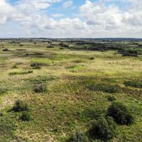 Andrew Ranch images 2