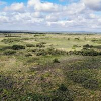 Andrew Ranch images 3