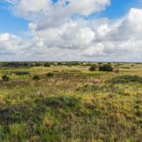 Andrew Ranch images 5