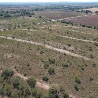 New Listing 12.5 - Acres Taylor County Tract 2 images 1