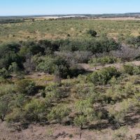 New Listing 12.5 - Acres Taylor County Tract 2 images 4