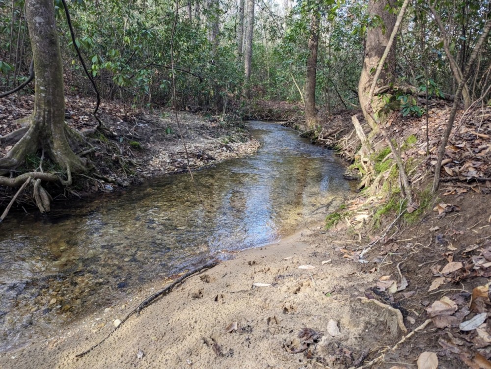 Autauga County Rd 40 Acreage featured image