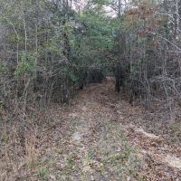 Autauga County Rd 40 Acreage images 2