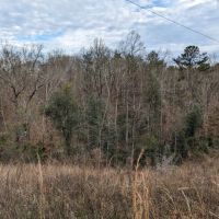 Autauga County Rd 40 Acreage images 3