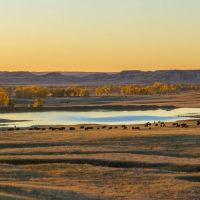Dakota Partnership Ranch