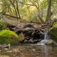 Rancho Santa Rosa images 3