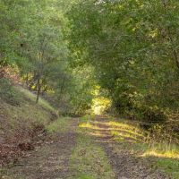 Rancho Santa Rosa images 4