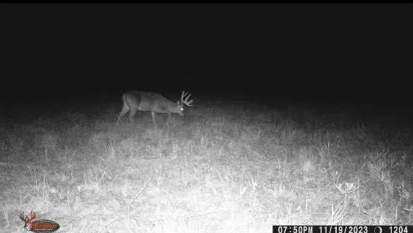 106 Acres in Attala County in Sallis MS featured image