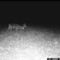 106 Acres in Attala County in Sallis MS