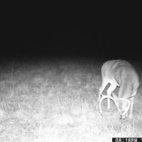 106 Acres in Attala County in Sallis MS images 3