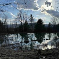65 acres Hunting and Recreational Property with Mature Timber in Limestone NY 676 Main St. images 1